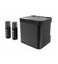 Karaokê Portátil com Microfones Sem Fio StageBox™